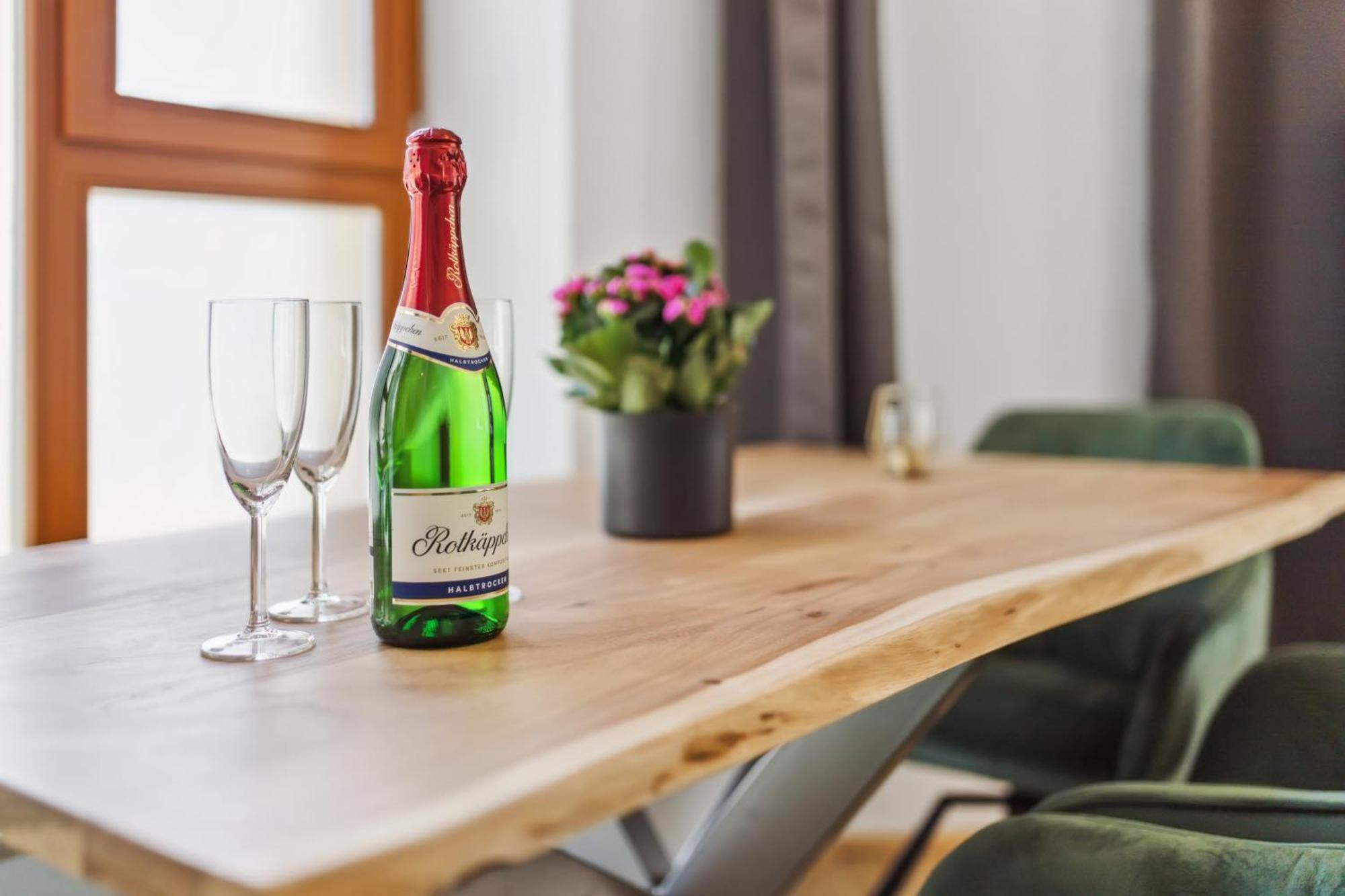 Dresdenstay Gemuetlich Naehe Zentrum Und Elbe Kamin Ps4 Dresden